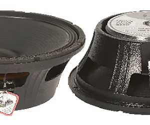 P audio speaker 12 inch 300 watt sales price